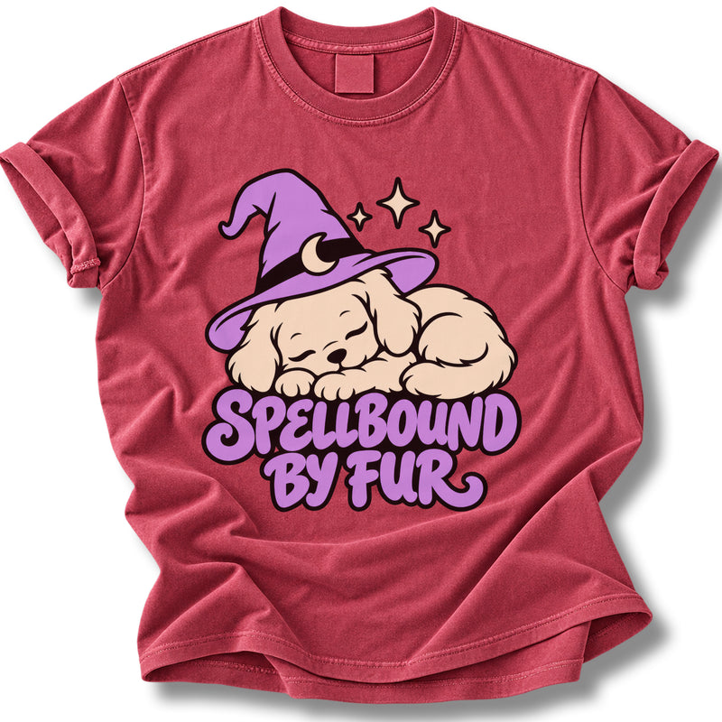 Spellbound by Fur Halloween Shirt | Sleeping Witch Hat Dog Tee
